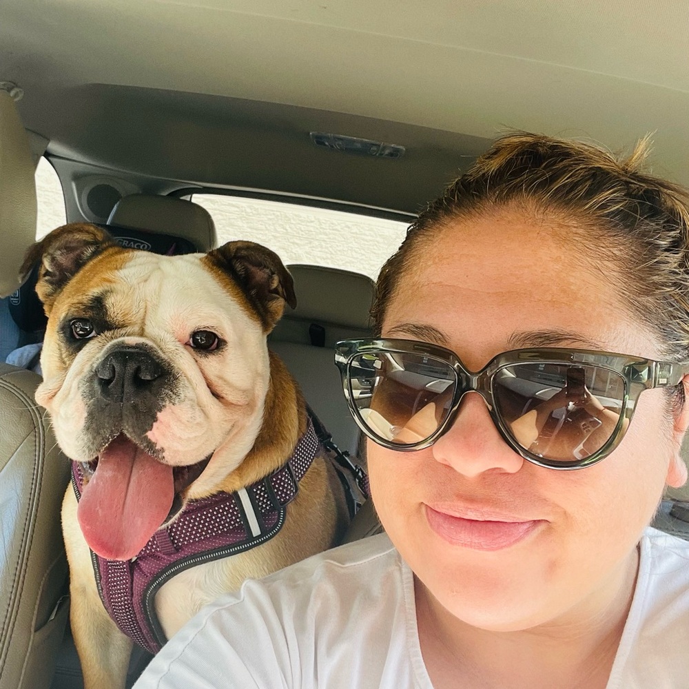 Unlisted Inventory for Live Shows - Picture 3 of 4